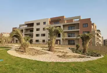 شقق للبيع - 3 غرف - بالدور 1