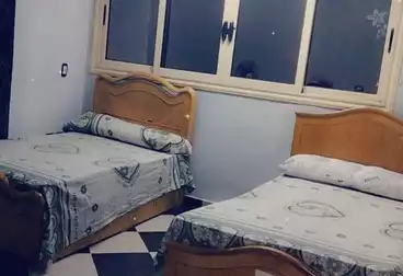شقق مفروشة للإيجار - 3 غرف - بالدور 0
