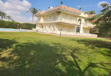 فلل للبيع - 5 غرف