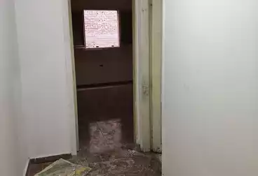 شقق للإيجار - 3 غرف - بالدور 2