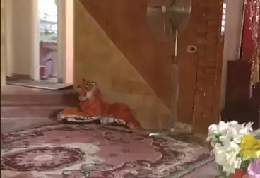 Duplex For sale - 4 rooms - floor 5