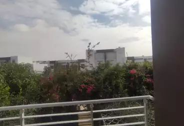 فلل للإيجار - 2 غرف