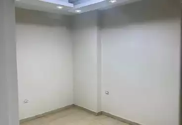 Apartments For rent - 3 rooms - floor 1