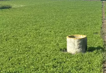 Farm For sale