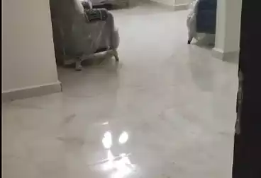 شقق للبيع - 2 غرف - بالدور 2