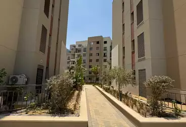 شقق للبيع - 3 غرف - بالدور 1