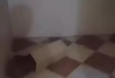 Apartments For sale - 2 rooms - floor 3