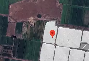 Farm For sale