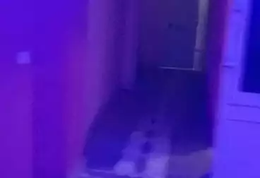 Apartments For sale - 2 rooms - floor 2