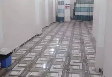 عقارات للإيجار - بالدور 0