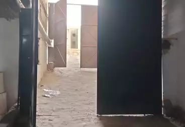 تجاري للإيجار - بالدور 0