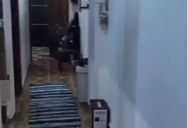 Apartments For sale - 2 rooms - floor 2