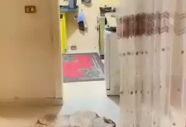 Apartments For sale - 3 rooms - floor 9