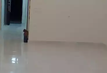 undefined undefined - 2 rooms - floor 1