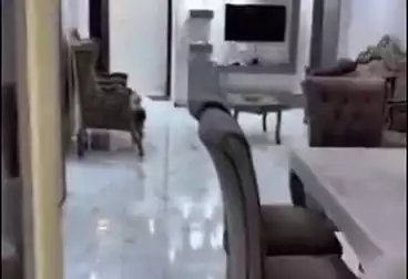 شقق للبيع - 3 غرف - بالدور 3