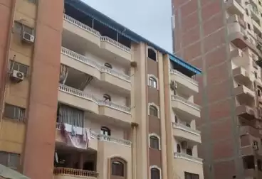 شقق للبيع - 3 غرف - بالدور 2