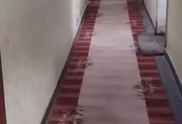 undefined undefined - 3 rooms - floor 2