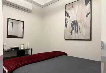 Properties For rent - 2 rooms - floor 9