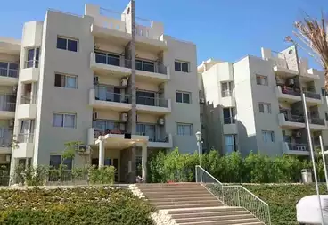 عقارات للإيجار - 3 غرف - بالدور 4