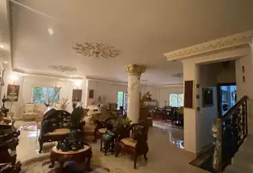 فلل للبيع - 12 غرف