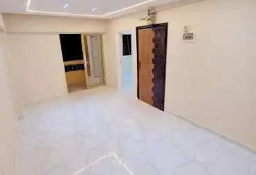 شقق للبيع - 3 غرف - بالدور 7