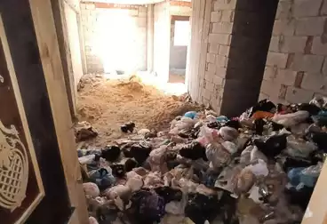 undefined undefined - 2 rooms - floor 8