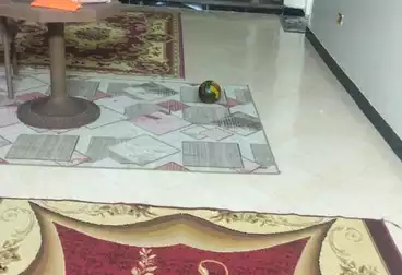 undefined undefined - 3 rooms - floor 6