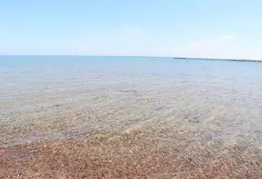 undefined undefined - 1 rooms - floor 1