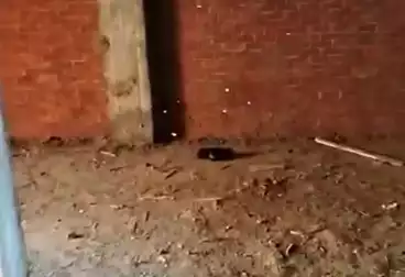 Properties For sale - 2 rooms - floor 7