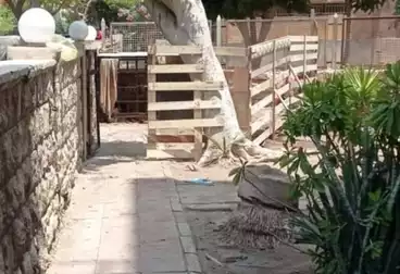 undefined undefined - 3 rooms - floor 1