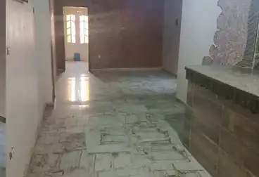 Apartments For rent - 2 rooms - floor 7