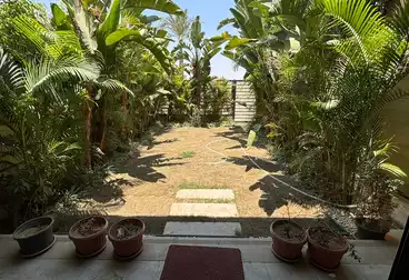 Villas For rent - 4 rooms