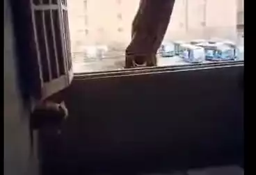 undefined undefined - 3 غرف - بالدور 0