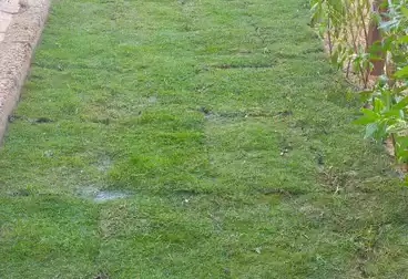 شقق للإيجار - 3 غرف - بالدور 0