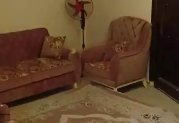 undefined undefined - 2 غرف - بالدور 13