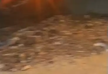 Residential Land For sale