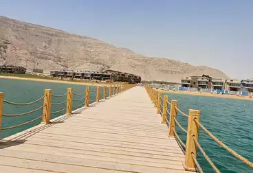 فلل للبيع - 4 غرف