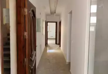 Apartments For rent - 3 rooms - floor 1