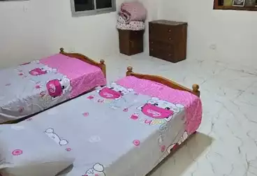 شقق للبيع - 2 غرف - بالدور 1