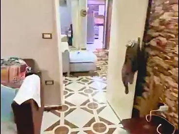 عقارات للبيع - 3 غرف - بالدور 2