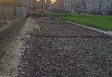 أراضي للبيع