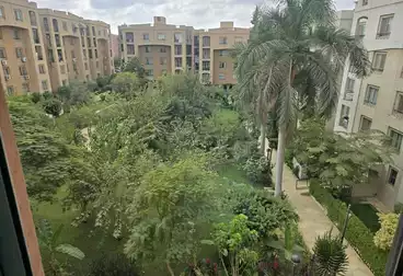 Apartments For rent - 3 rooms - floor 3