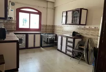 شقق للإيجار - 3 غرف - بالدور 0