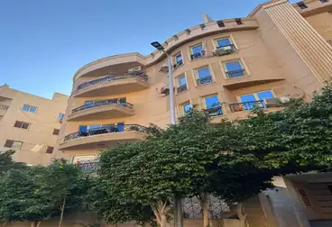 شقق للبيع - 3 غرف - بالدور 4