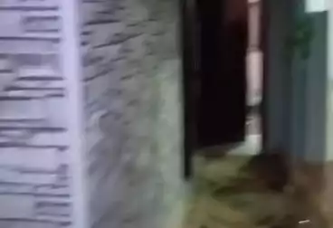 شقق للبيع - 3 غرف - بالدور 7