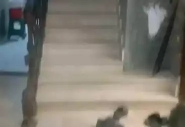 Building For sale - 3 rooms