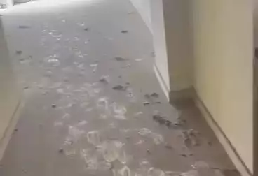 Properties For sale - 2 rooms - floor 3