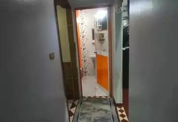 undefined undefined - 2 غرف - بالدور 10