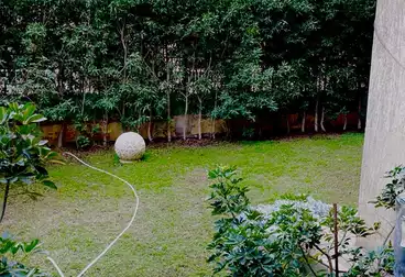 شقق للإيجار - 2 غرف - بالدور 0