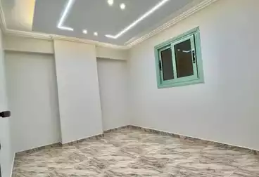 شقق للبيع - 3 غرف - بالدور 1